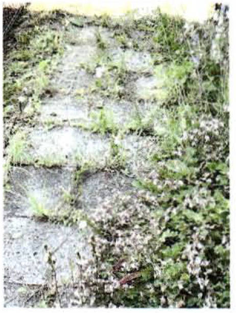 bayern 2 K 75/22#1 Max-Eyth-Straße 7, 85354 Freising 12