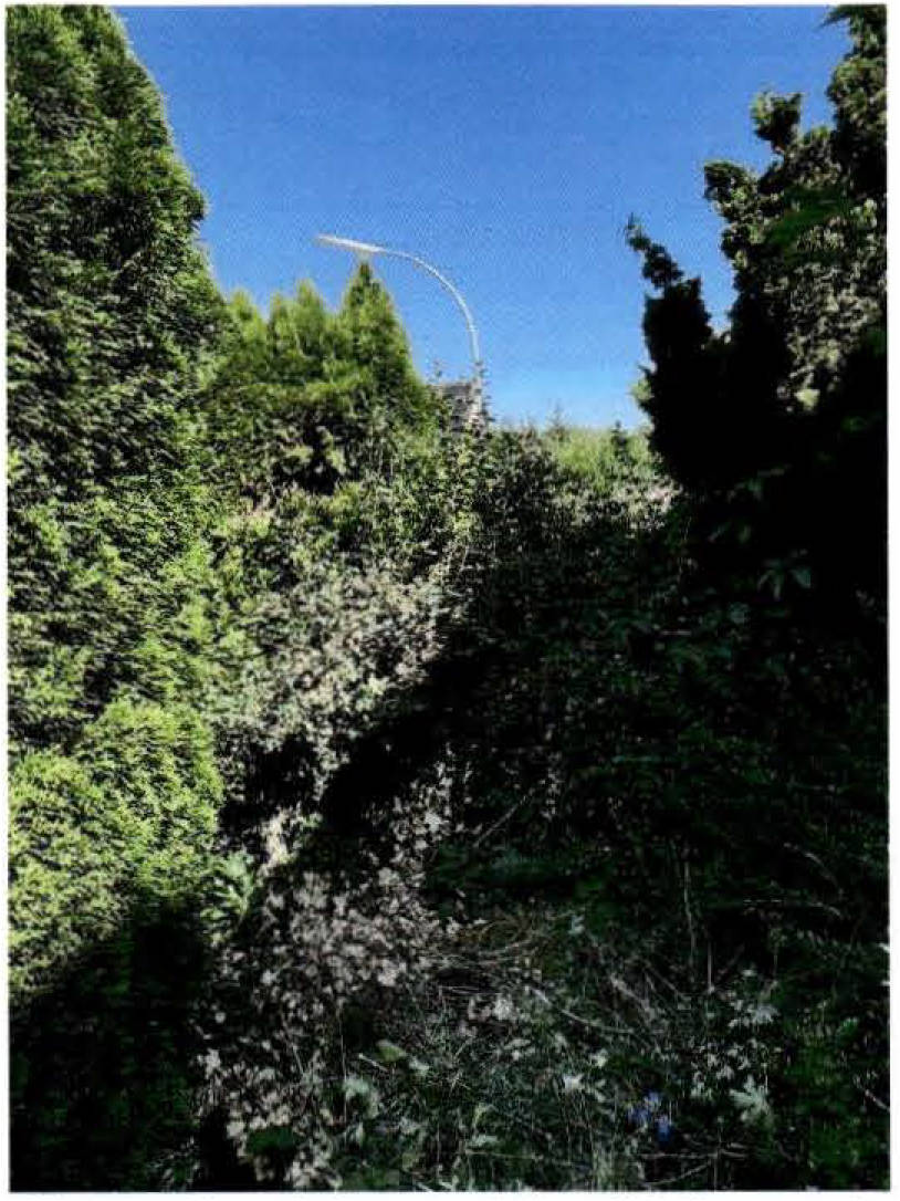 Einfamilienhaus in Max-Eyth-Straße 7, 85354 Freising - Bild 3