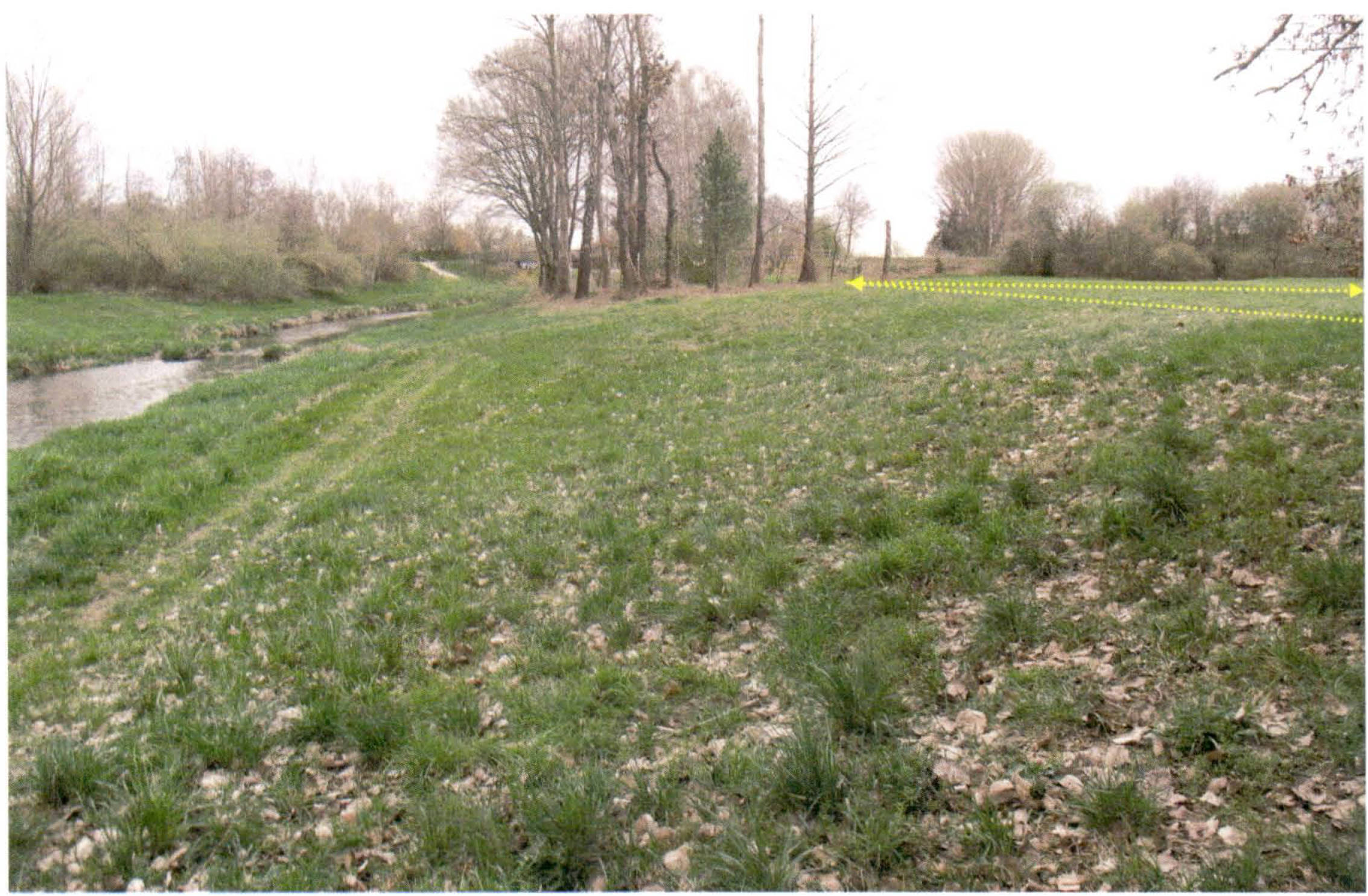 bayern 3 K 106/23 Nähe Gartenstraße (25), 84405 Dorfen a.d. Isen 8