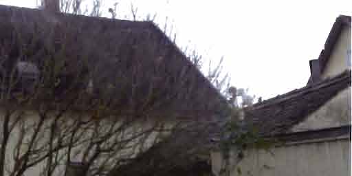 Einfamilienhaus, Garage in Rachelstraße 27, 84030 Landshut - Bild 5