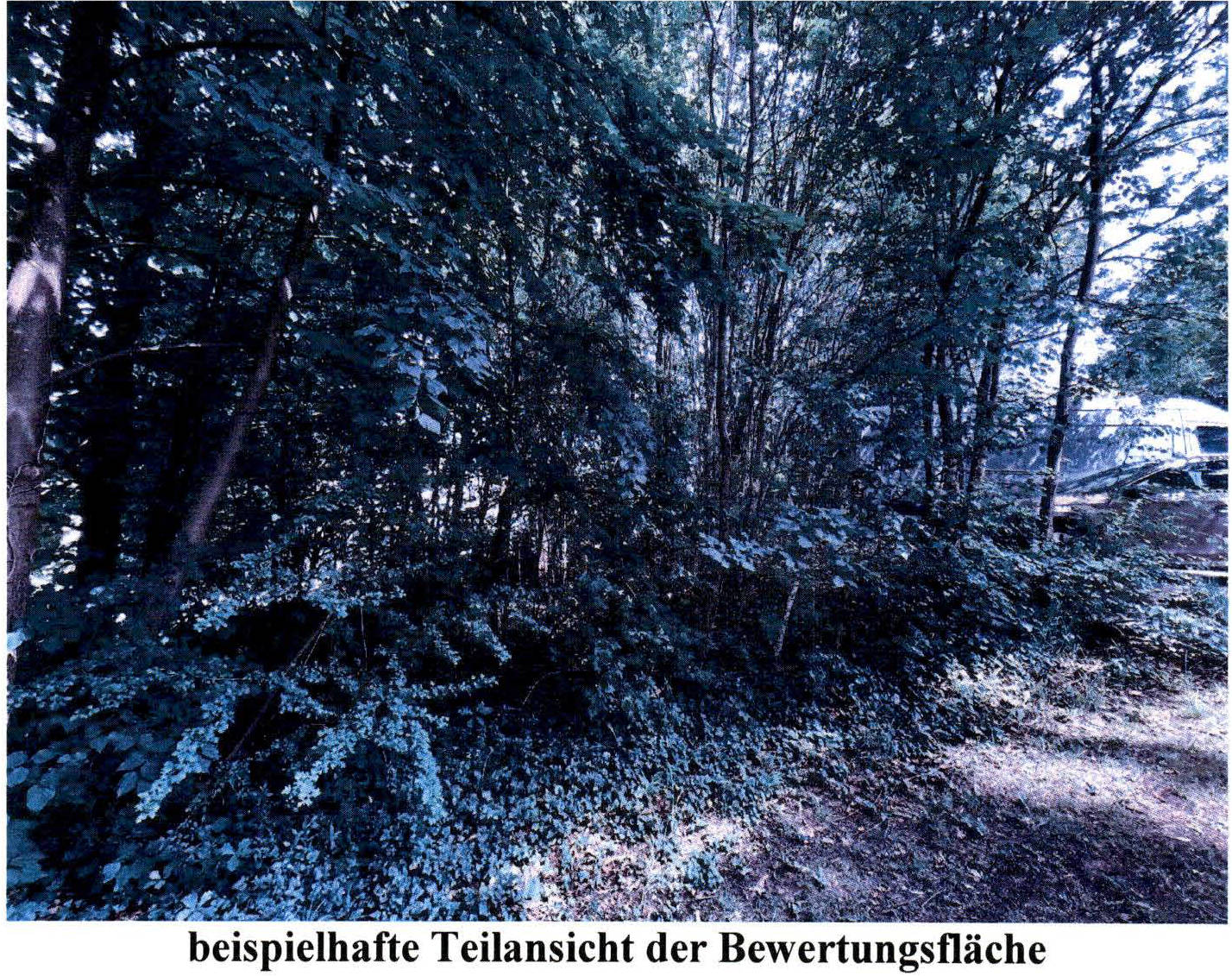 bayern 3 K 19/25 Marktplatz 1, 84424 Isen 14