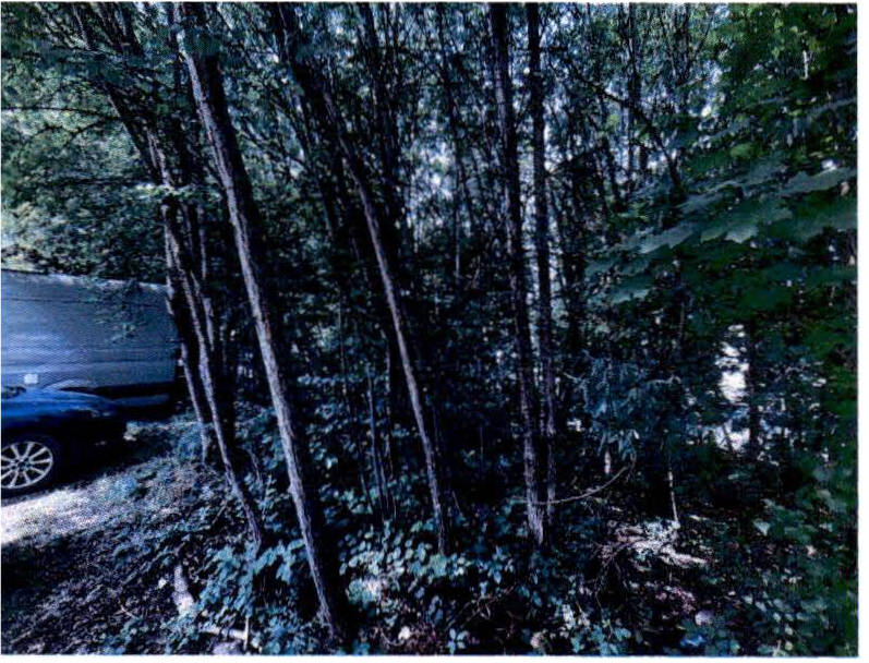 bayern 3 K 19/25 Marktplatz 1, 84424 Isen 12