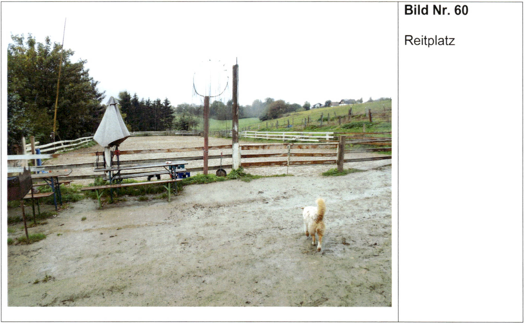 bayern 3 K 24/20 Hub 1, 84152 Martinsbuch 16