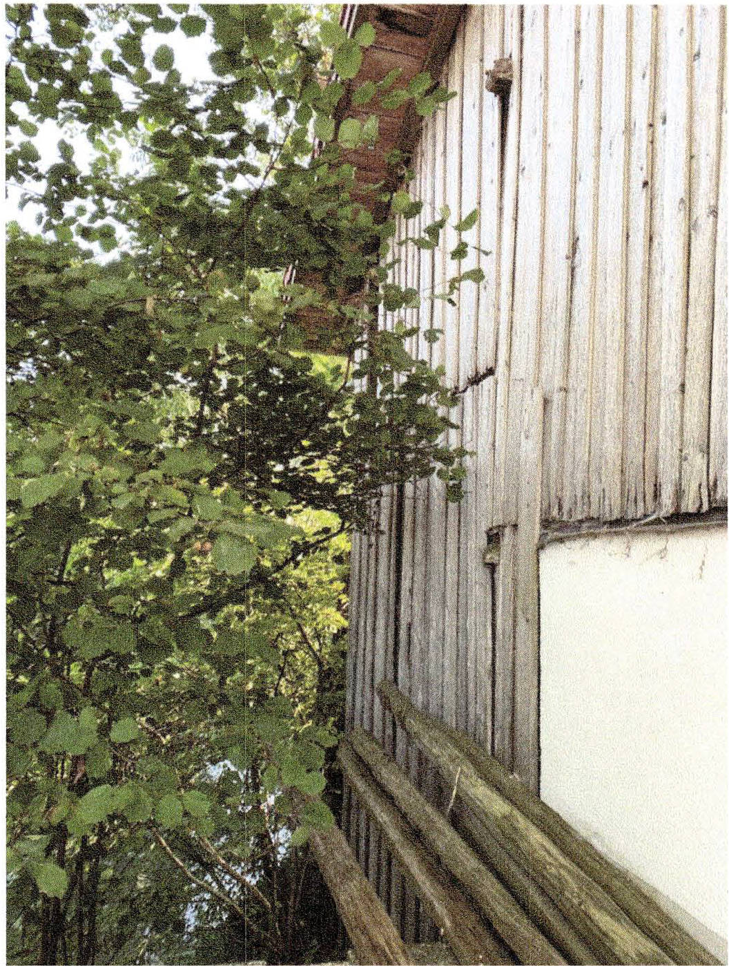 Einfamilienhaus in Münchsdorfer str. 12, 94439 Roßbach - Bild 4