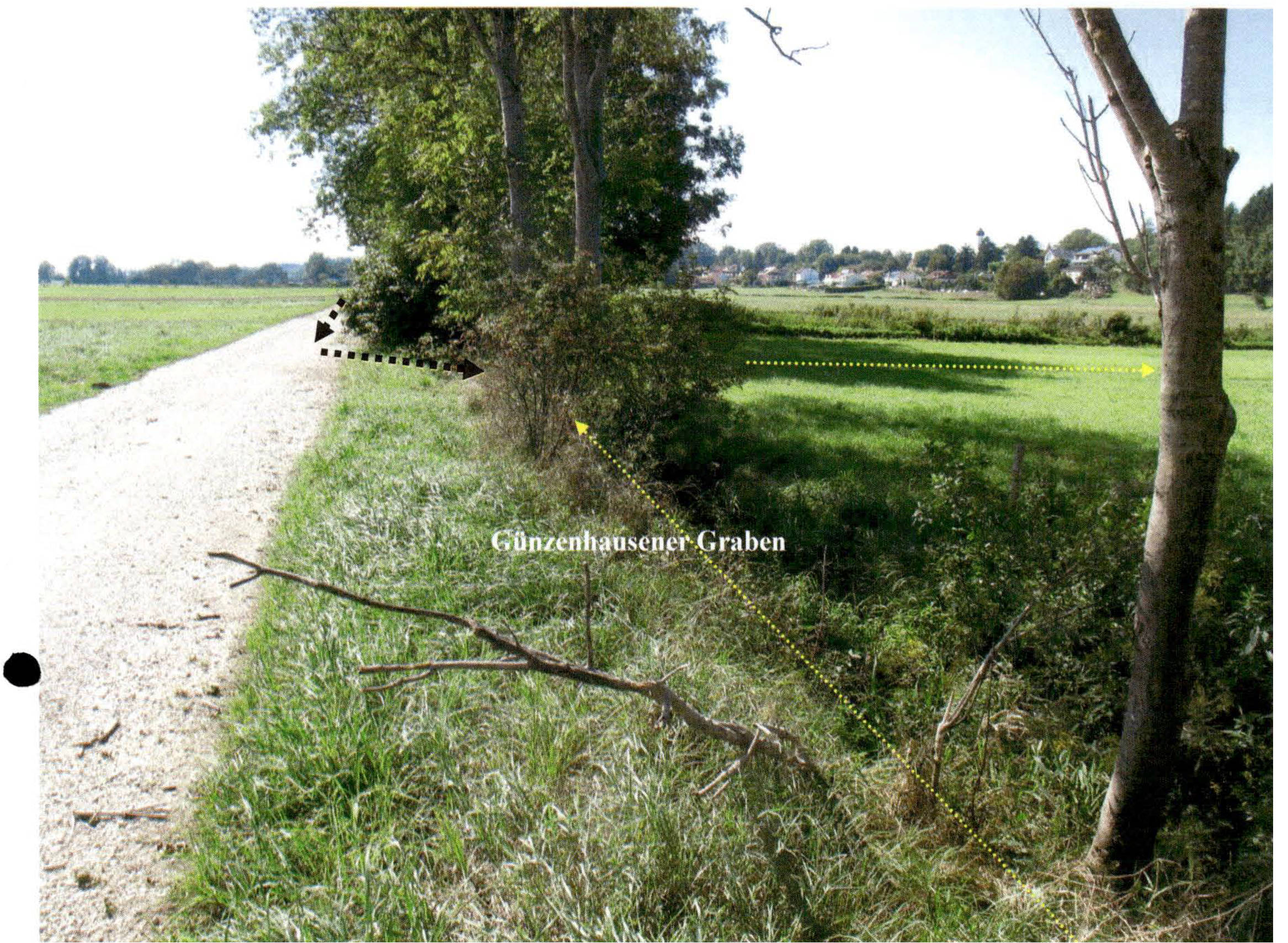 land-/ forstwirtschtl. Flächen in 710 Ifml Feldfahrt östlich Bergstraße 11, 85356 Eching-Günzenhausen - Bild 5