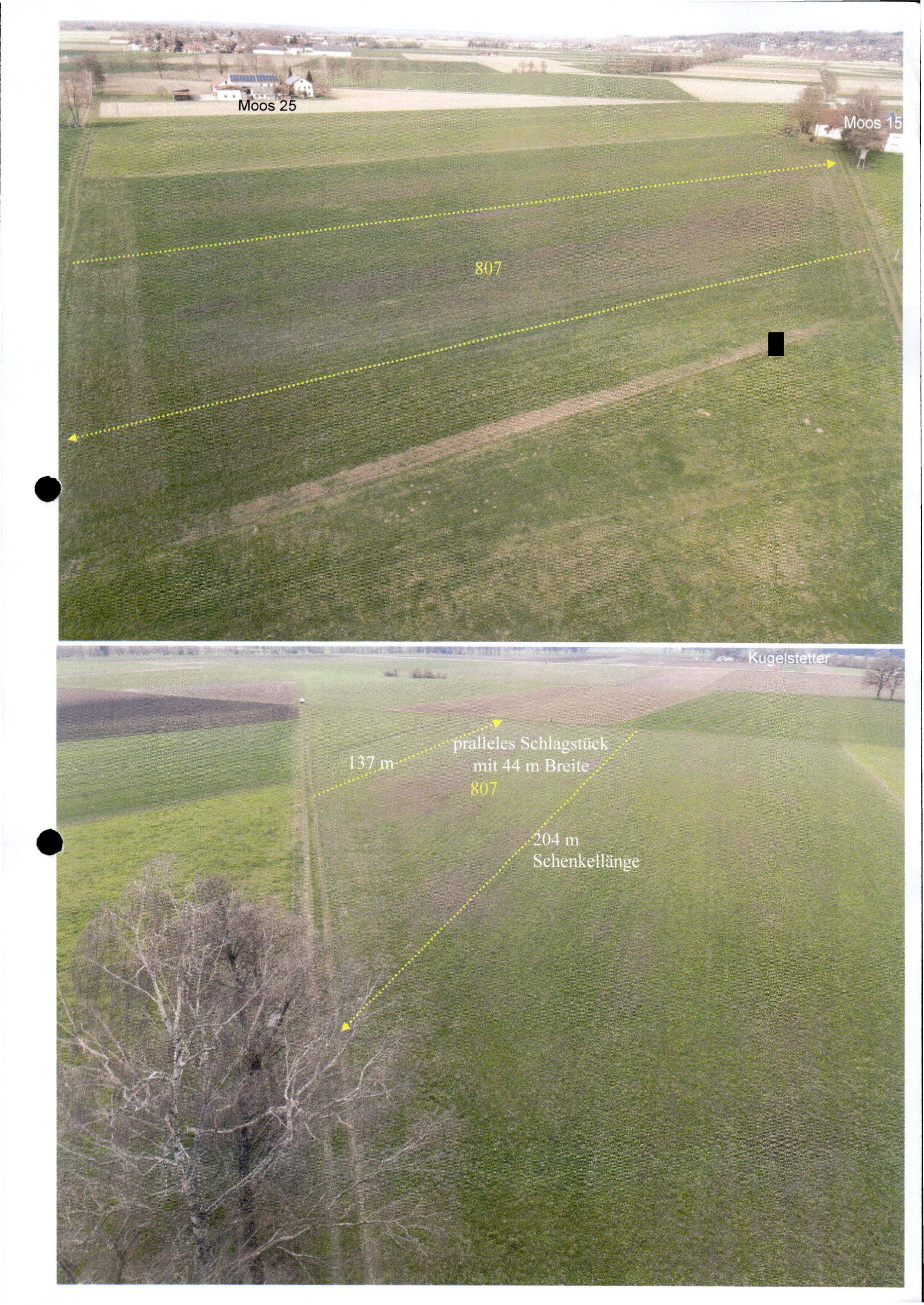 land-/ forstwirtschtl. Flächen in Nähe Moos (-Wirth) 15, 85456 Wartenberg - Bild 3