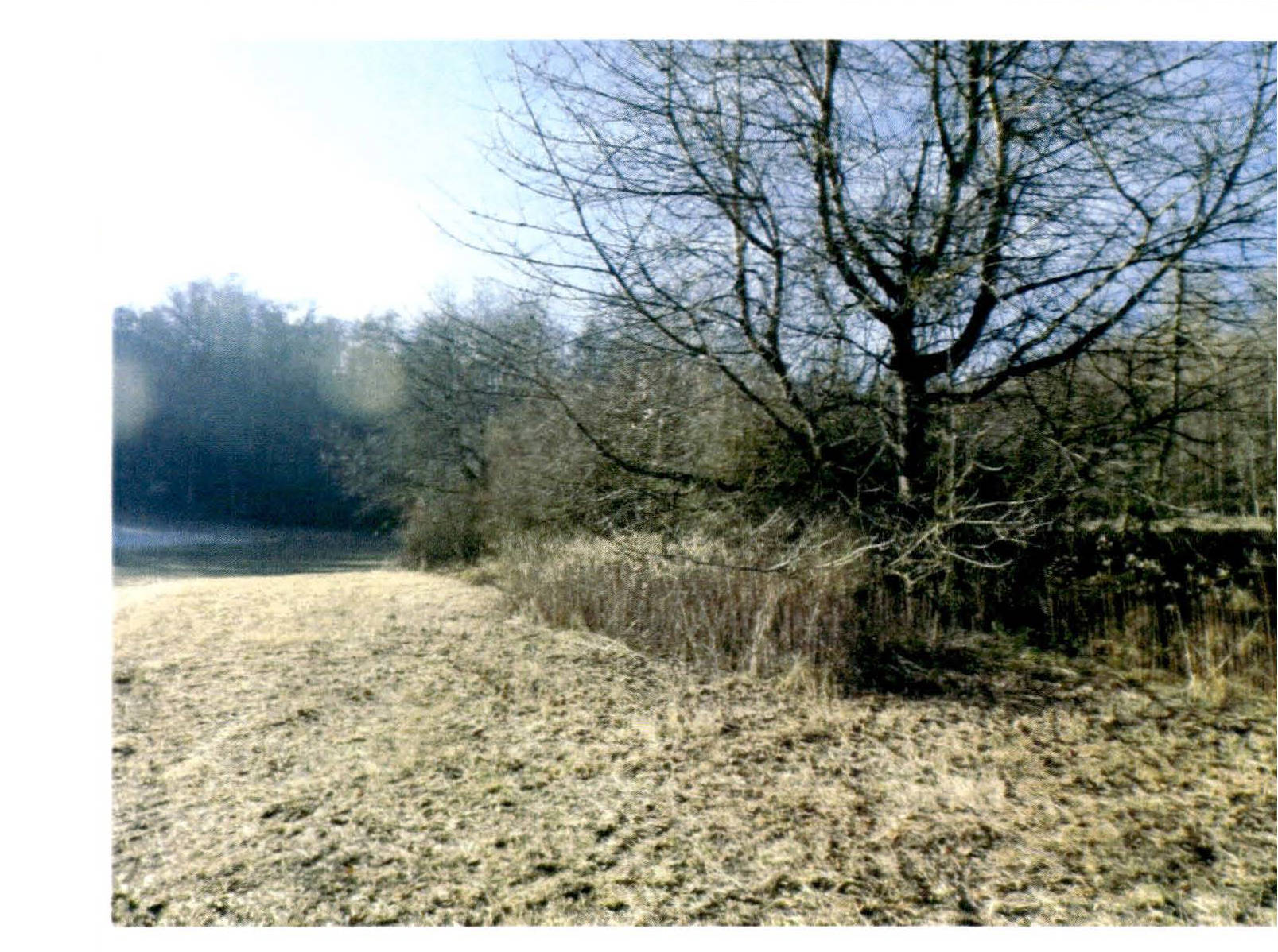 bayern 3 K 99-23 Irlfeld, 84177 Kleinpilberskofen