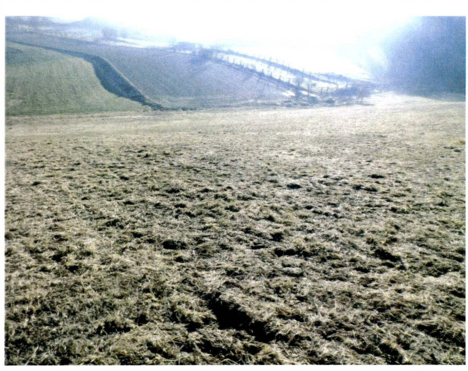 bayern 3 K 99-23 Irlfeld, 84177 Kleinpilberskofen