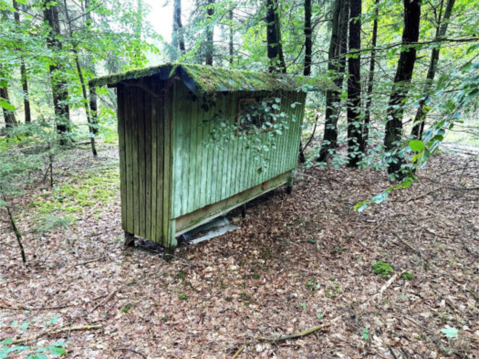 bayern K0001-2024 Allmannsgrund, 85137 Pfalzpaint