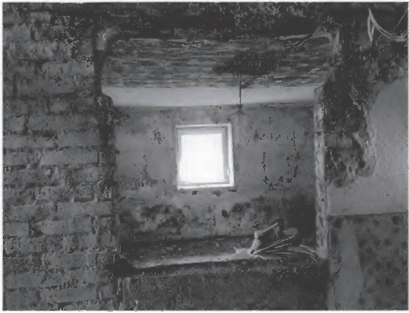 bayern K 0002/2024 Trenbachstraße 8, 84478 Waldkraiburg, St. Erasmus 27