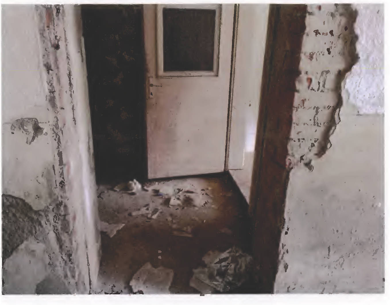 Wohnhaus mit Nebengebäuden in Trenbachstraße 8, 84478 Waldkraiburg, St. Erasmus - Bild 2