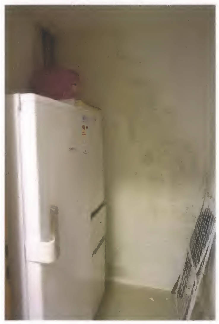 bayern K 0002/2025 Mühldorfer Straße 58, 84419 Schwindegg 20