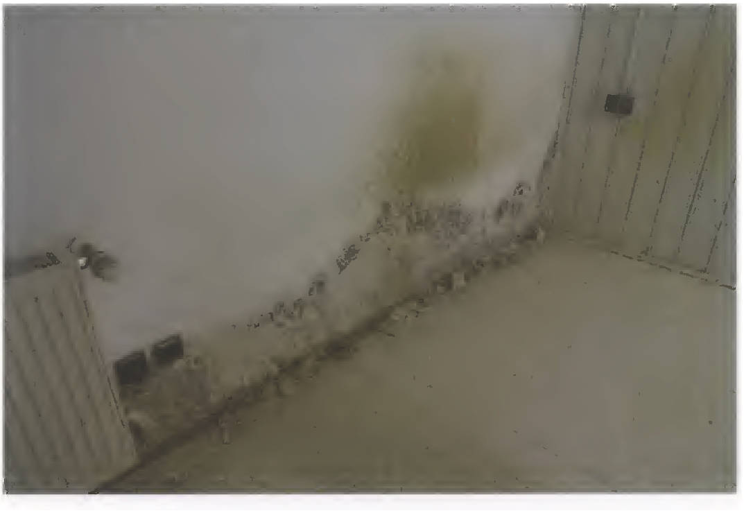 bayern K 0002/2025 Mühldorfer Straße 58, 84419 Schwindegg 7