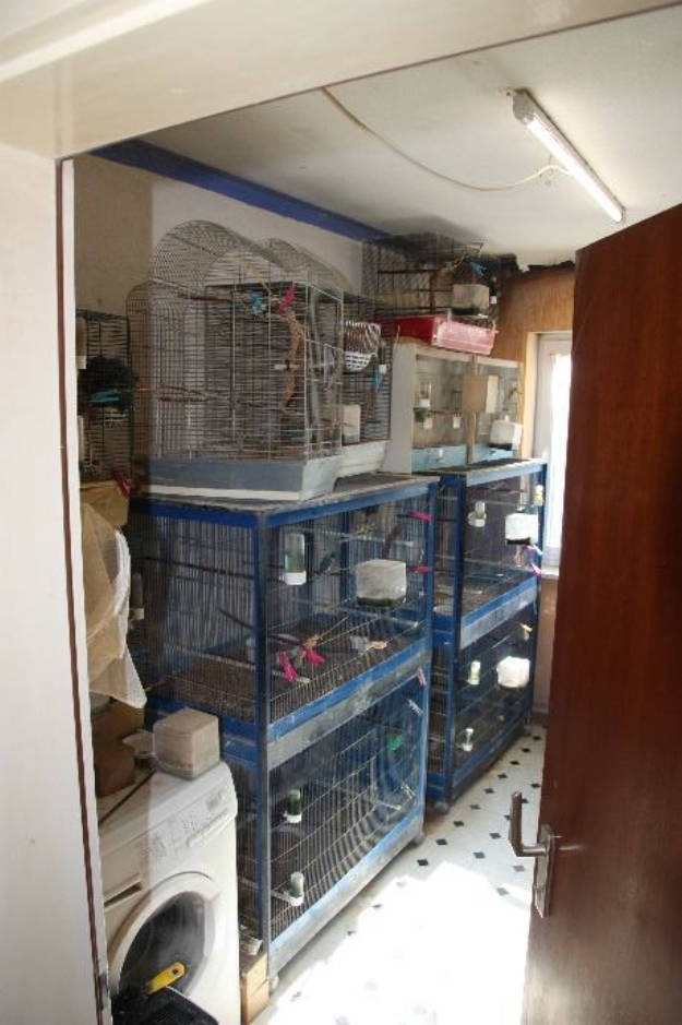 bayern K 0002/2025 Eichenstraße 2 und 4, 89415 Lauingen 9