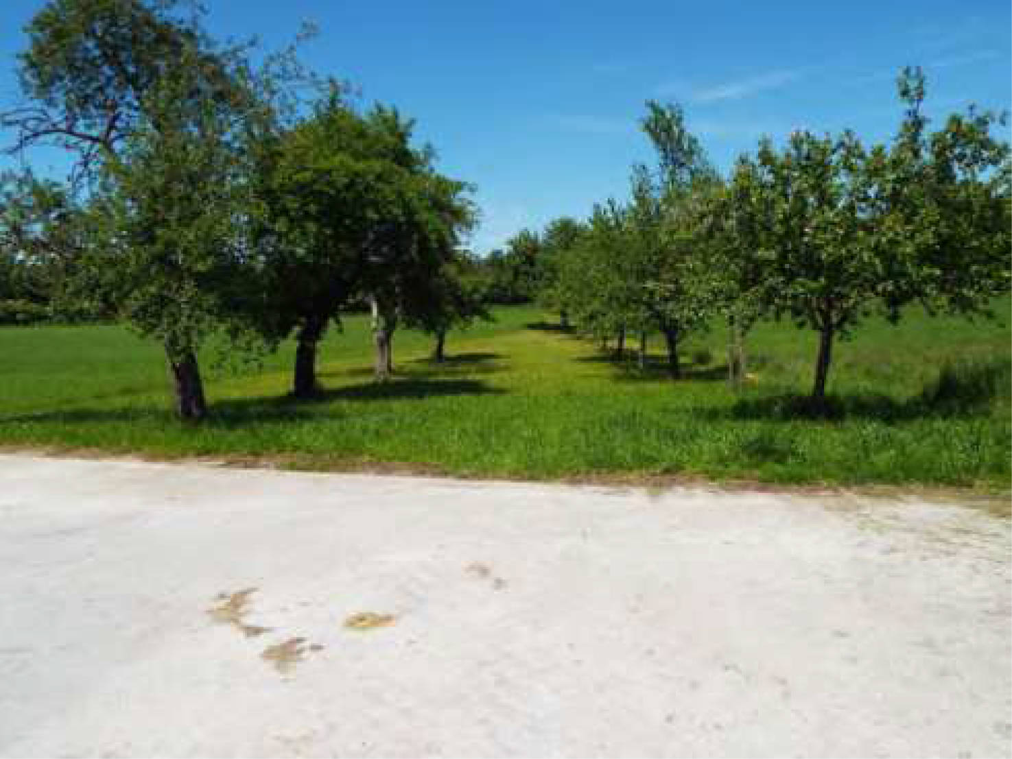 bayern K 0003/2022 Stettener Straße  82, 83209 Prien am Chiemsee, Atzing 27