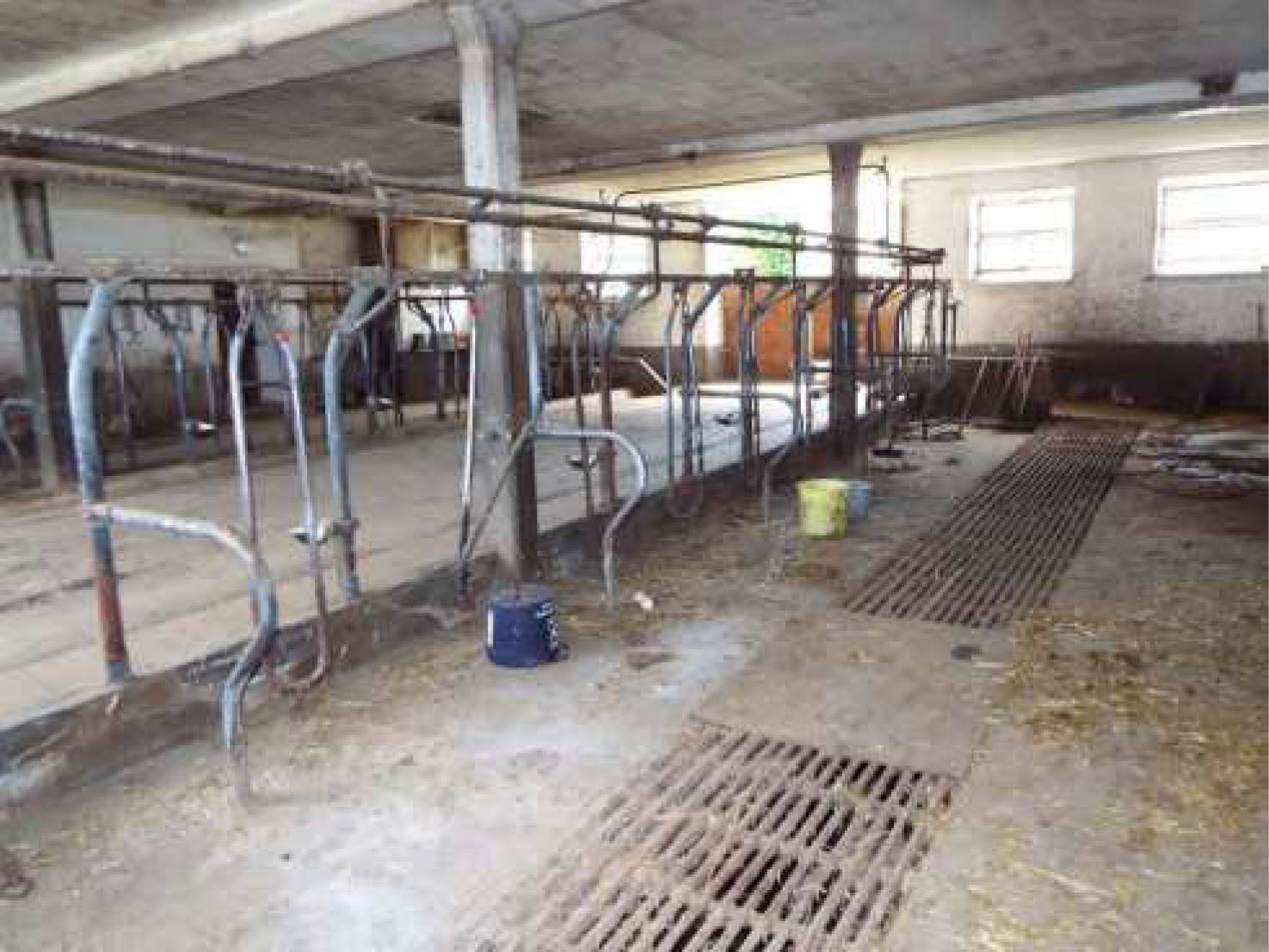 bayern K 0003/2022 Stettener Straße  82, 83209 Prien am Chiemsee, Atzing 17