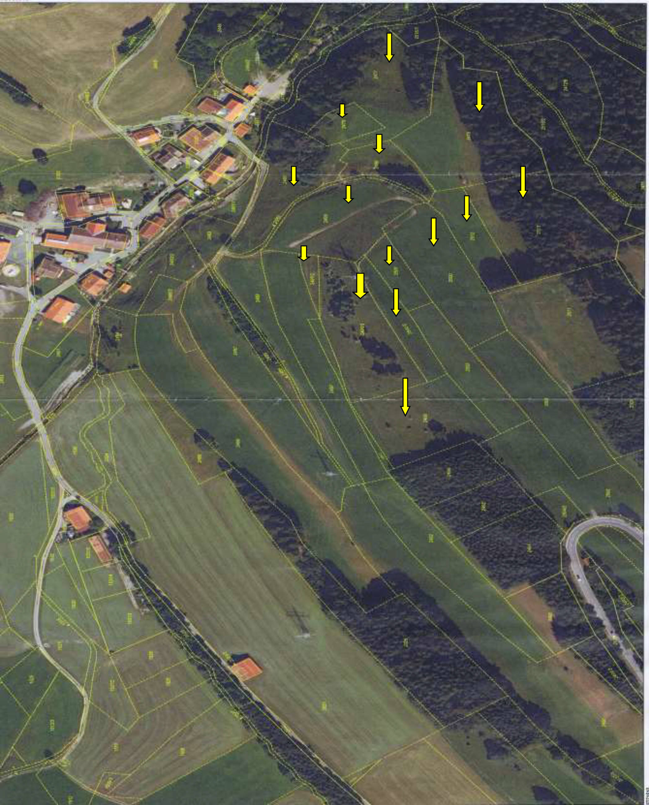 bayern K0006-2025 Rochadel, Einfang, 87549 Rettenberg