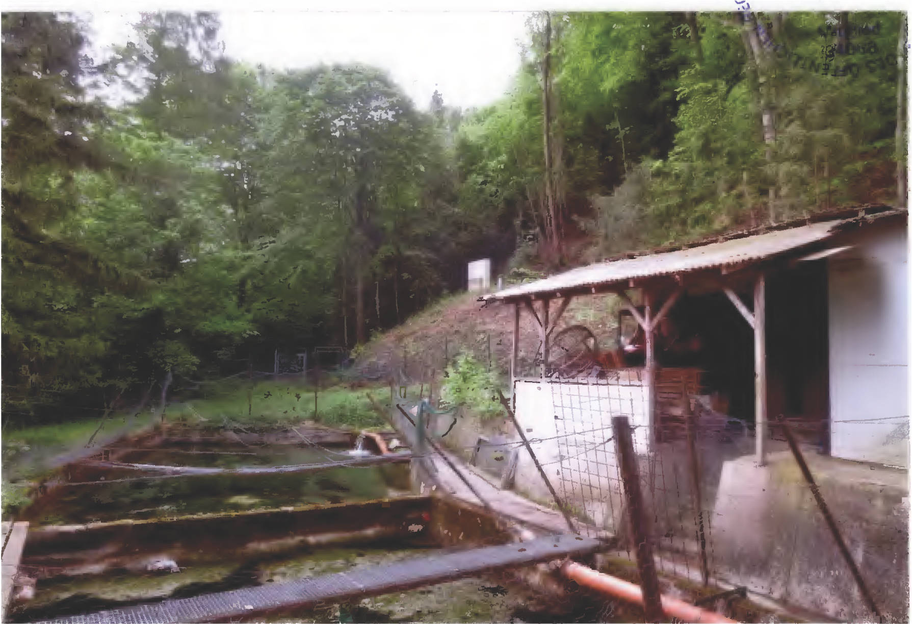 Wohnhaus mit Garagen und Nebengebäuden in Maierhof 4, 84508 Burgkirchen a.d.Alz - Bild 3