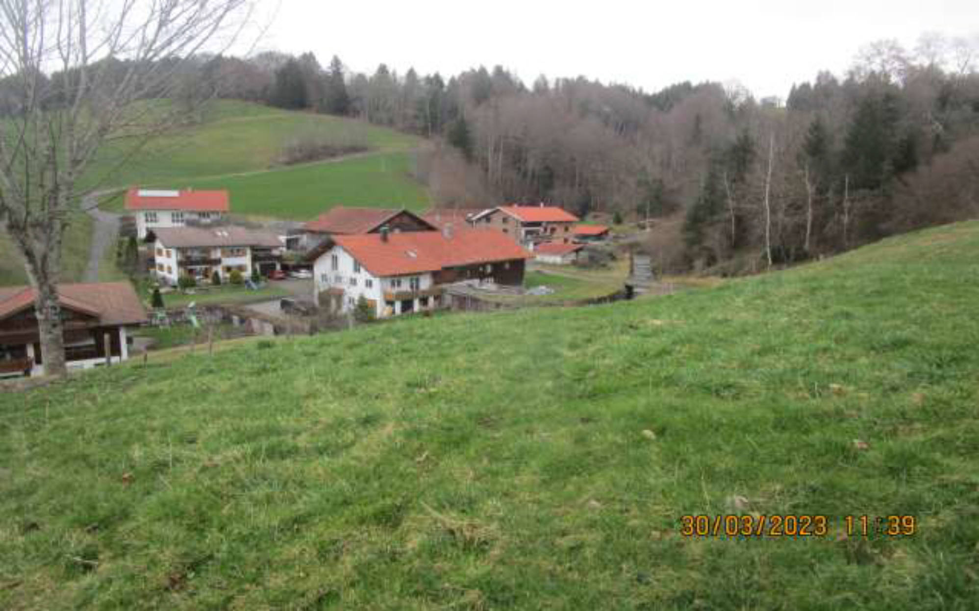 bayern K0007-2025 Schotthalden, Einfang, 87549 Rettenberg