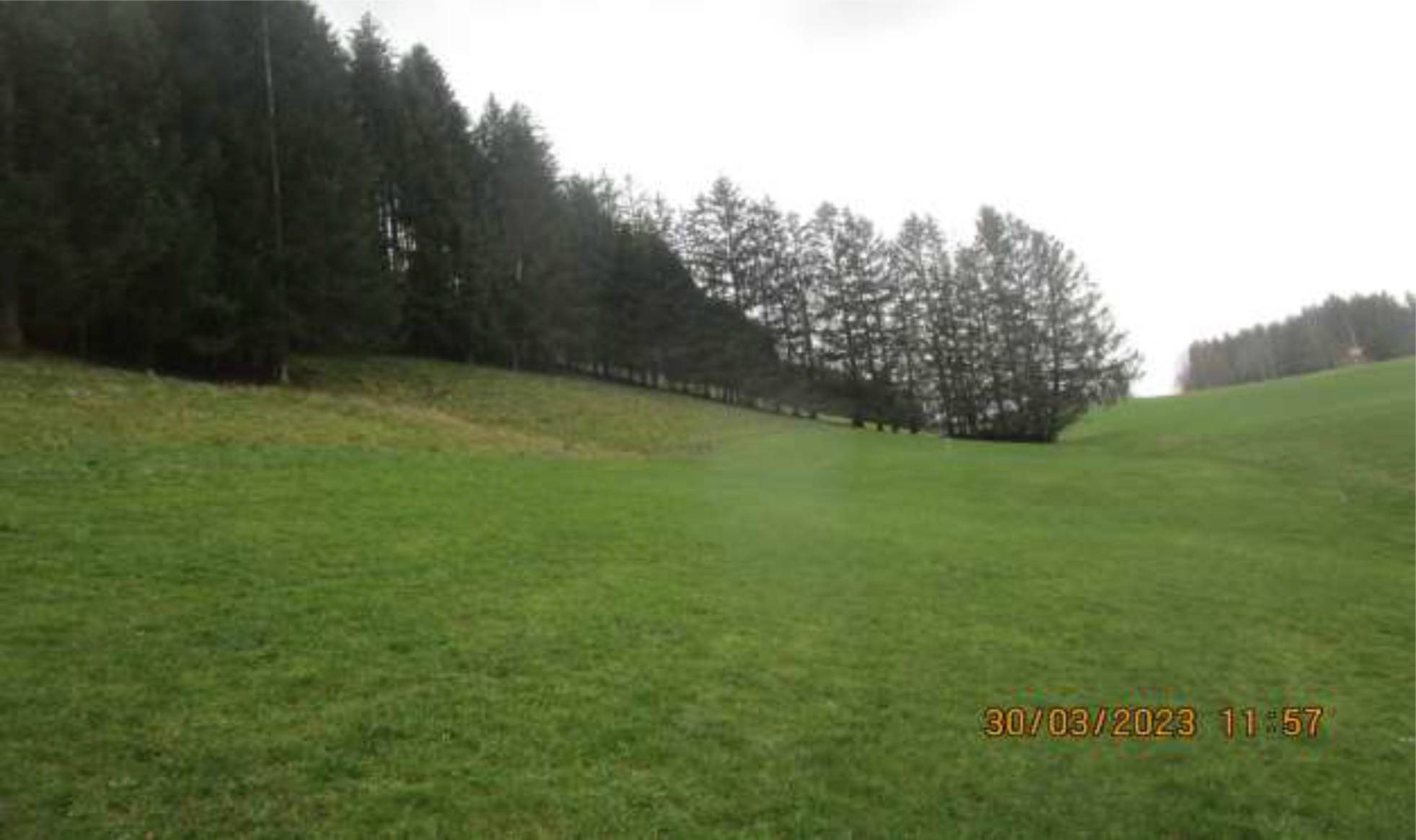 bayern K0007-2025 Schotthalden, Einfang, 87549 Rettenberg