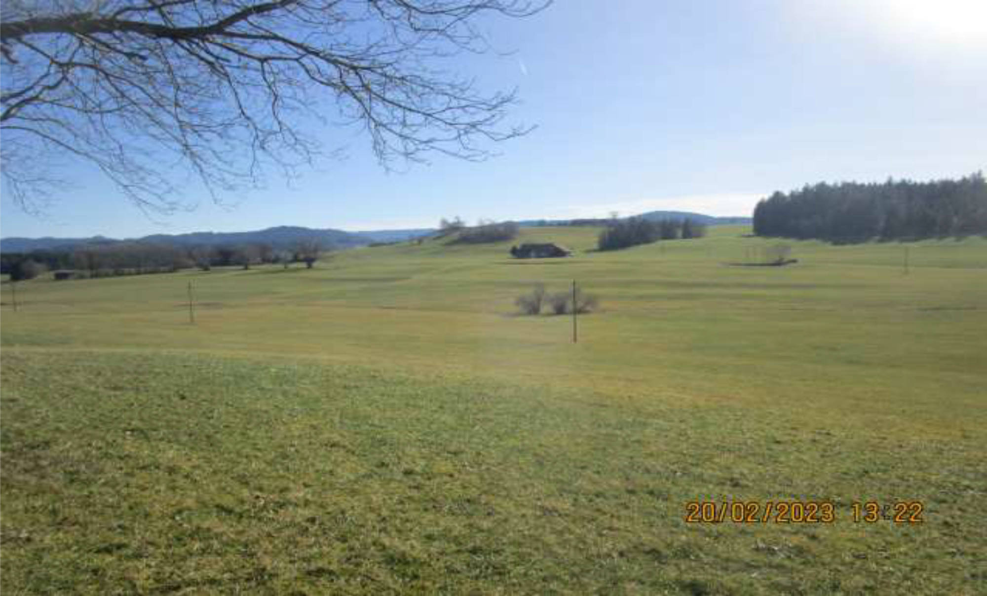 bayern K0009-2025 Hinterhalden  , 88167  Maierhöfen,