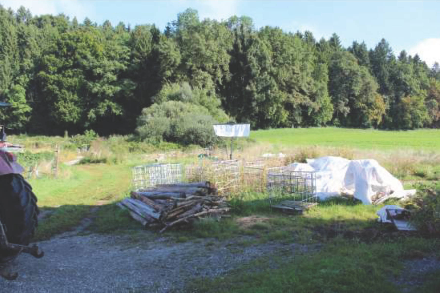 bayern K0010-2023 Reit 1, 83253 Rimsting