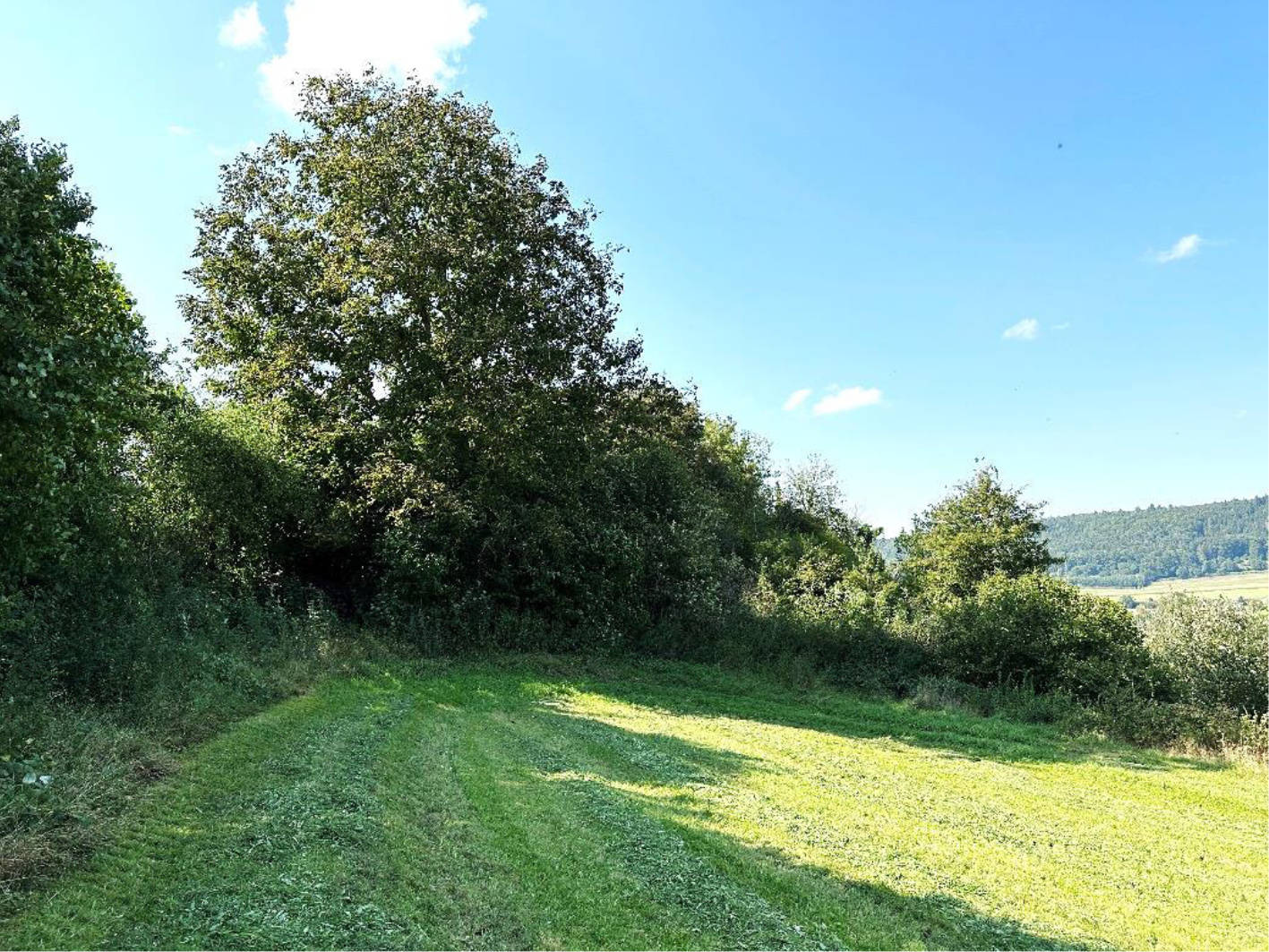bayern K0010-2024 Am Waltingerweg, 85137 Walting, Pfalzpaint