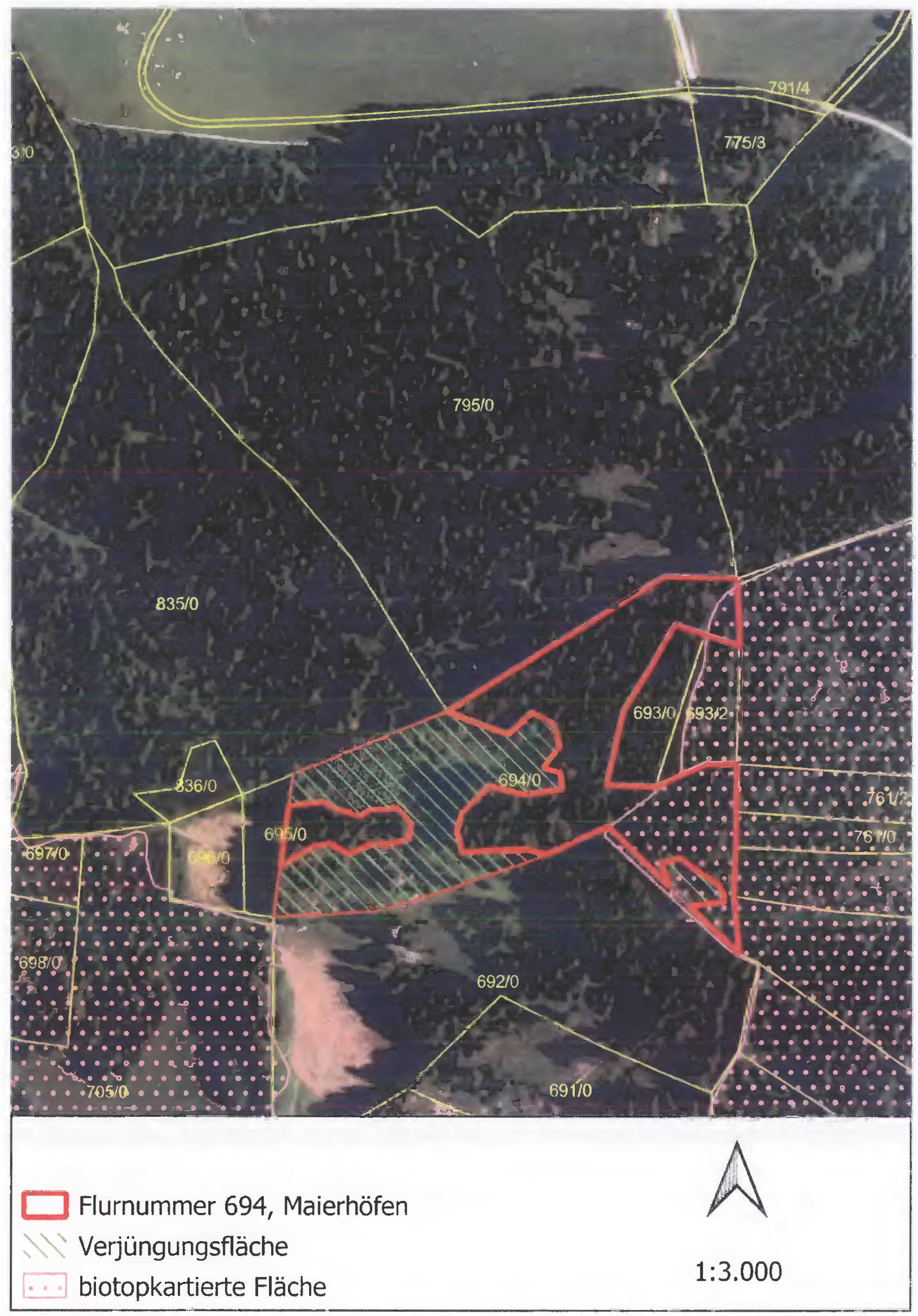 bayern K0010-2025 Vorholzer Moos  , 88167 Maierhöfen ,