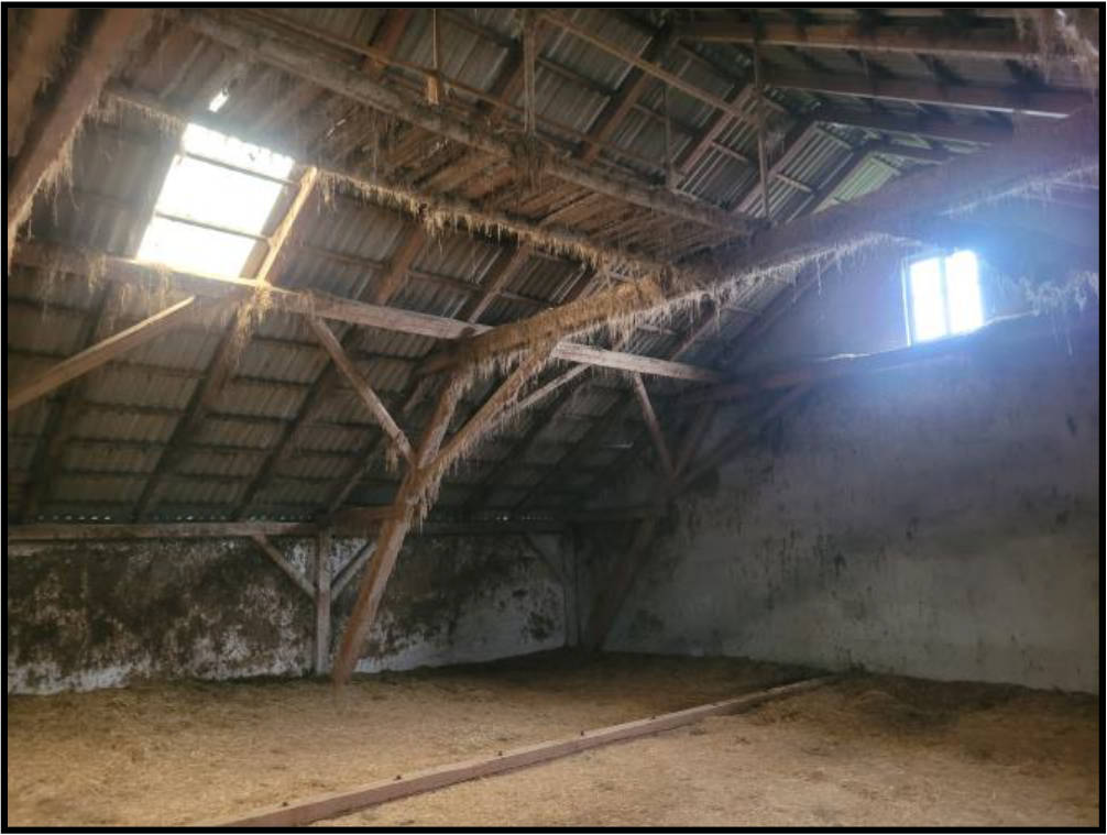 bayern K 0011/2023 Burgusstraße 41, 91790 Burgsalach 21