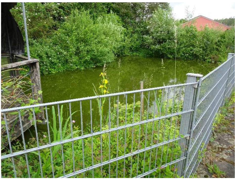 bayern K 0011/2024 Nordring 12a, 91785 Pleinfeld 13