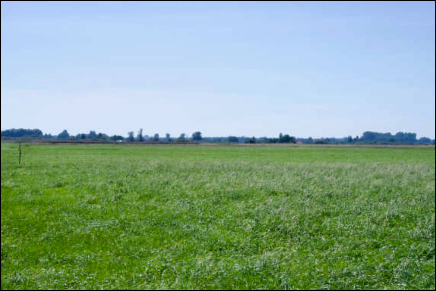 land- und forstwirtschaftlich genutztes Grundstück in Weidenschaftsteile, 89423 Gundelfingen - Bild 2