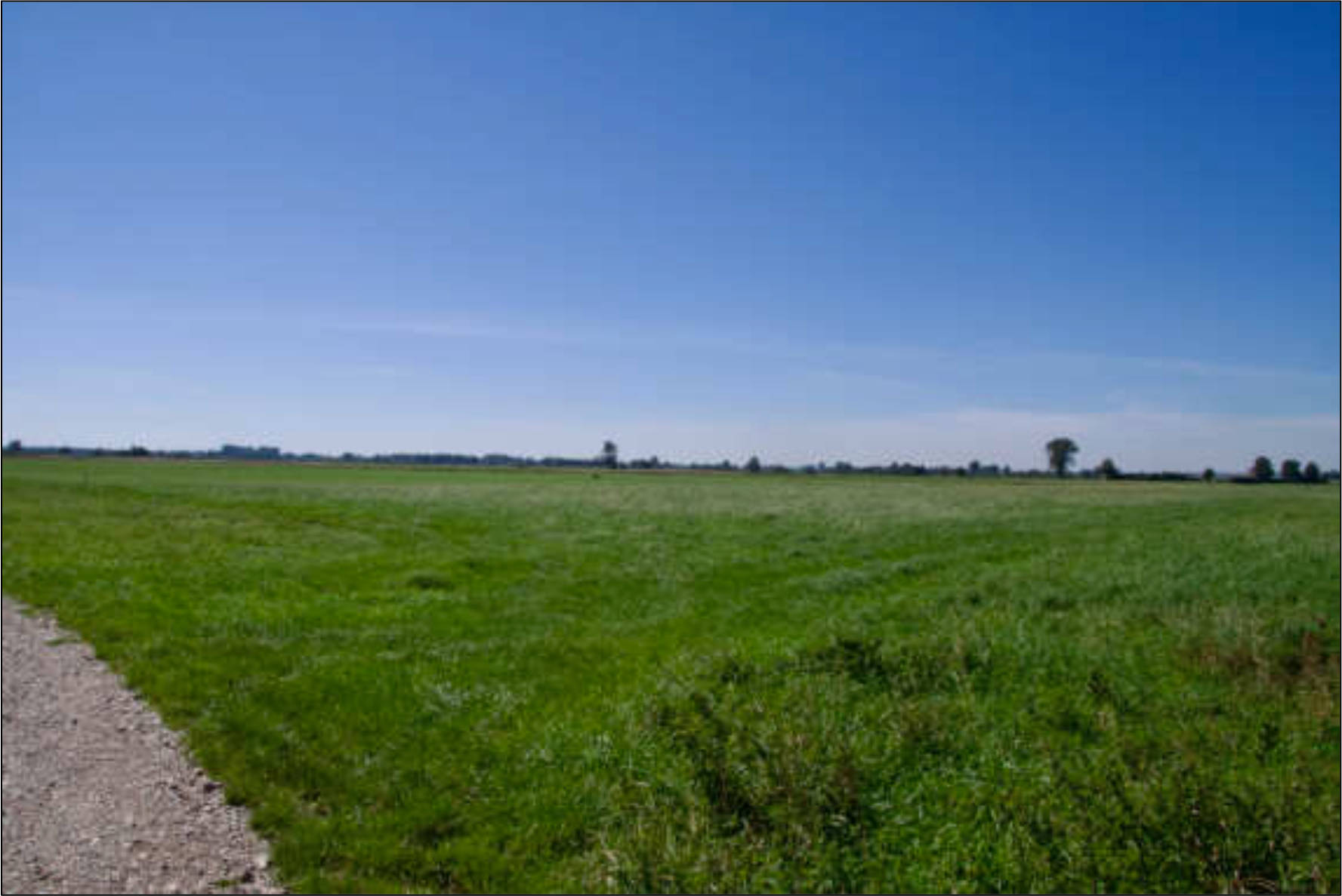 land- und forstwirtschaftlich genutztes Grundstück in Weidenschaftsteile, 89423 Gundelfingen