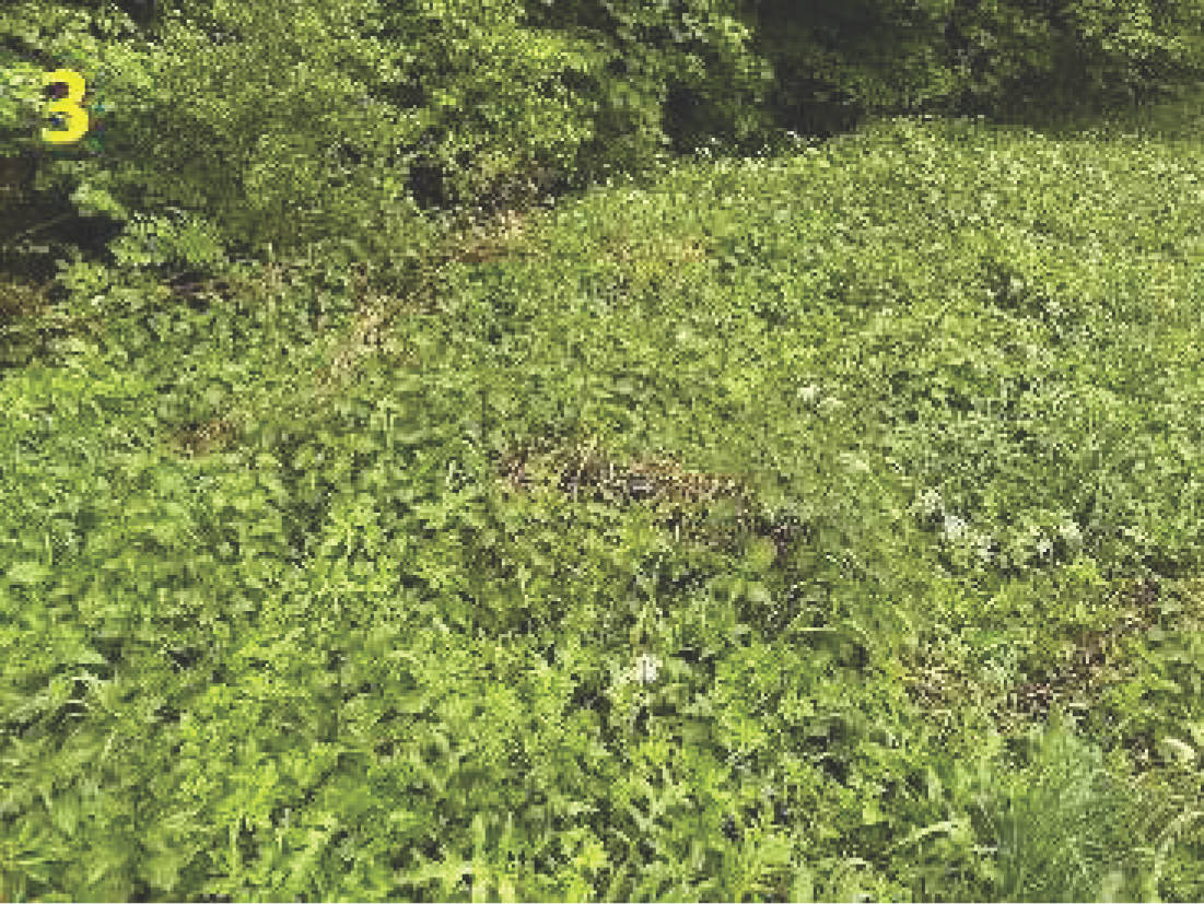 bayern K 0015/2025 Nähe Kühlachen, 83620 Feldkirchen-Westerham 7