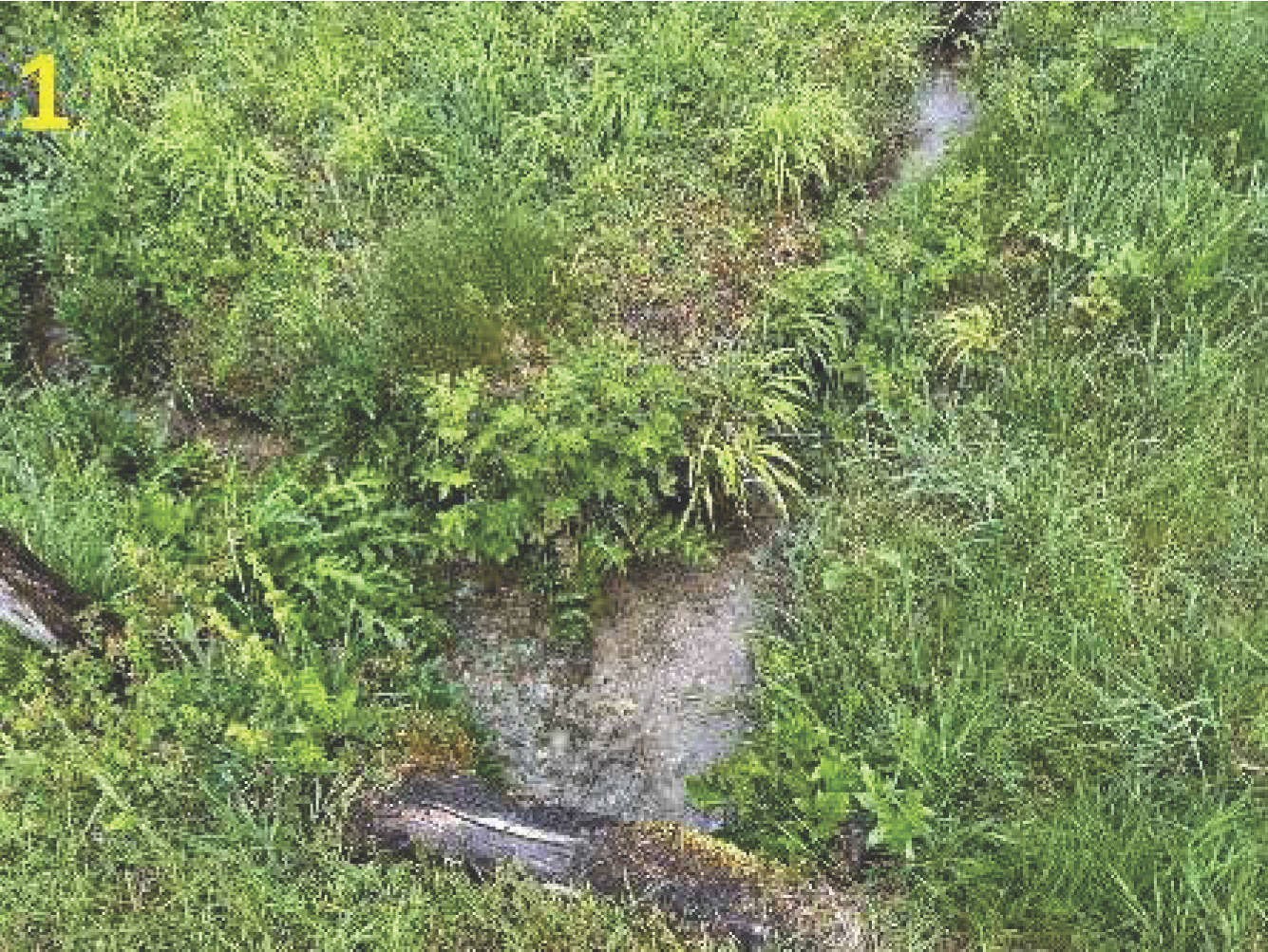 bayern K 0015/2025 Nähe Kühlachen, 83620 Feldkirchen-Westerham 8