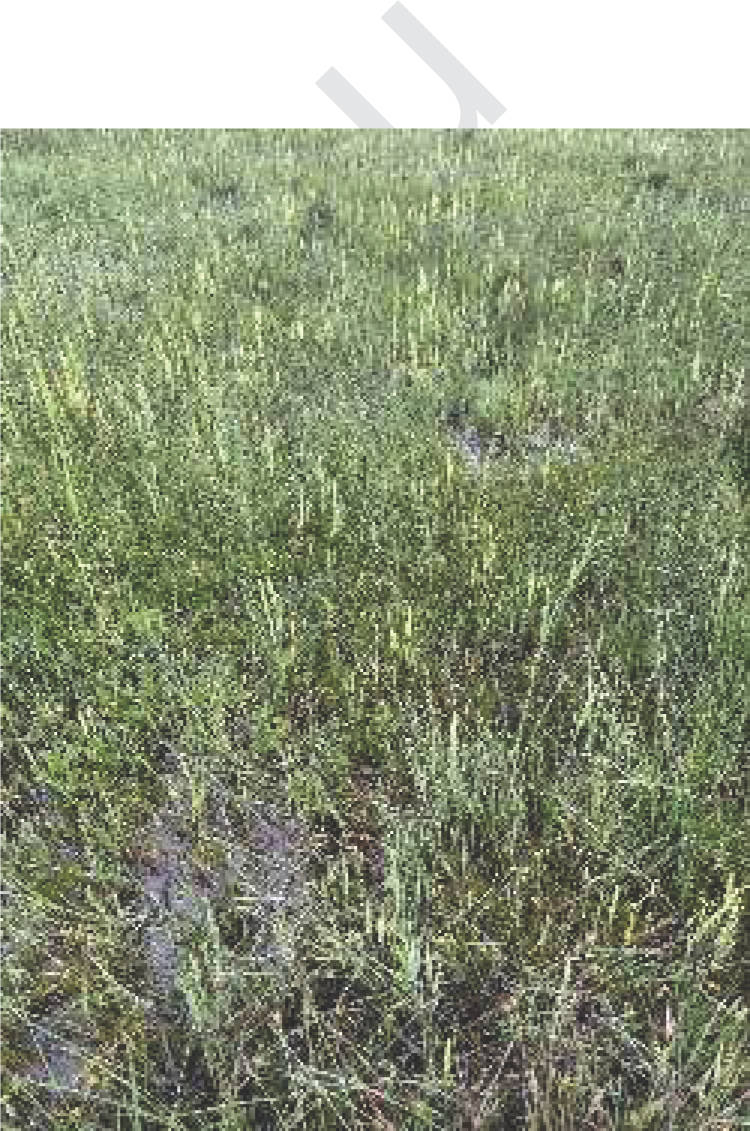 bayern K 0015/2025 Nähe Kühlachen, 83620 Feldkirchen-Westerham 6