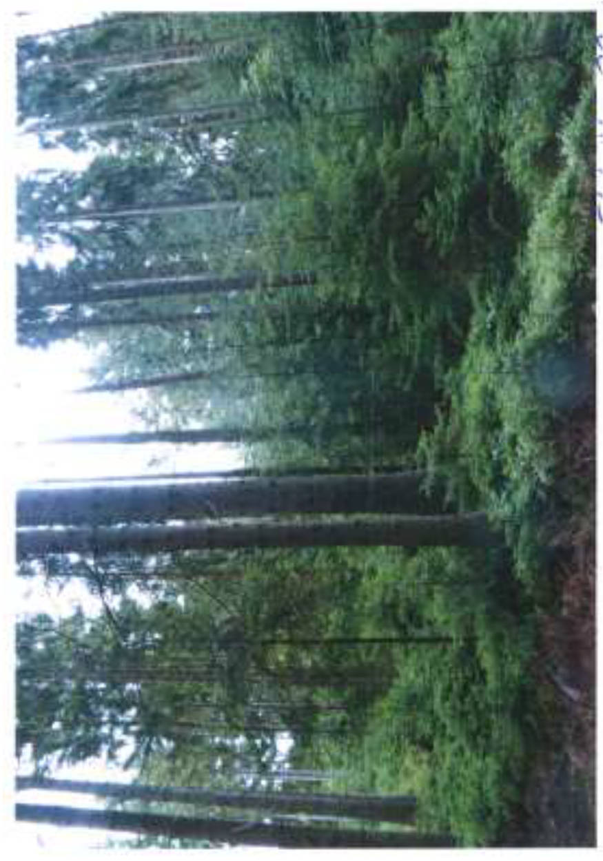 bayern K0016-2023 Löwitzgrund, 95111 Rehau