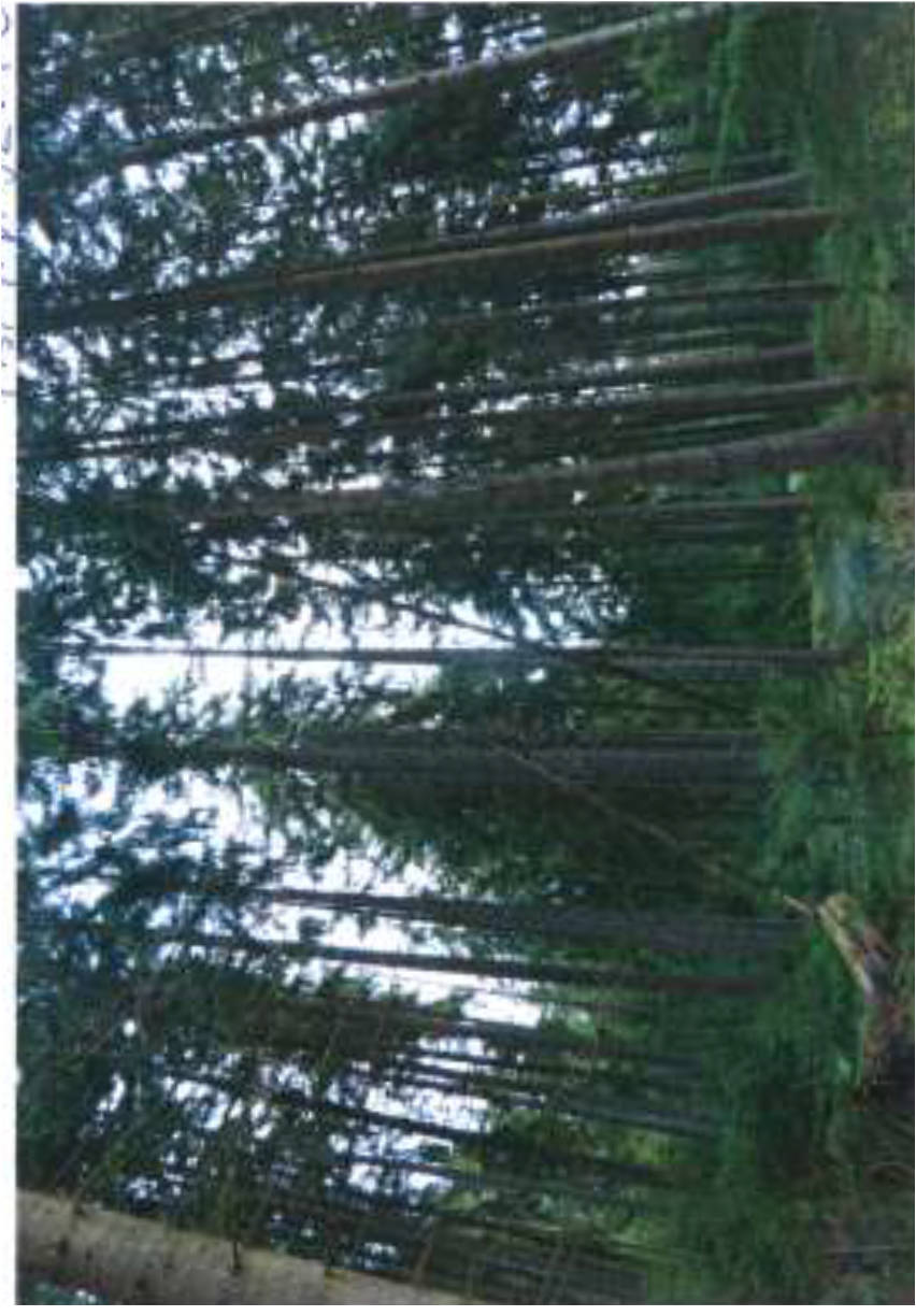 bayern K0016-2023 Löwitzgrund, 95111 Rehau