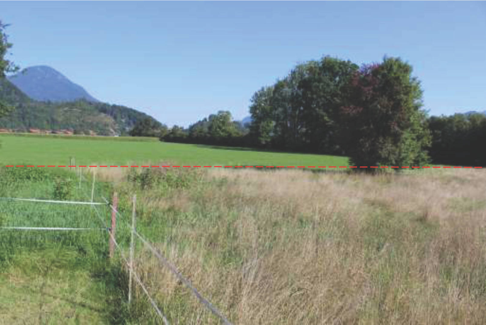 Pferdestall in Blaikhofen, 83088 Kiefersfelden - Bild 3