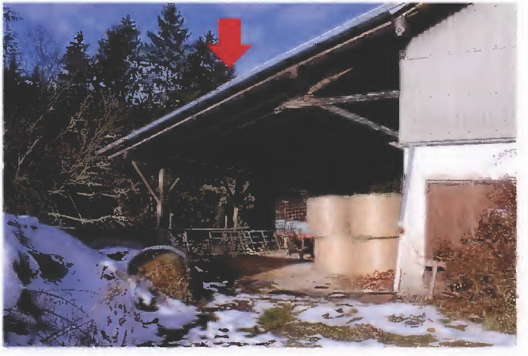 landwirtschaftliches Anwesen in Wolfstall 35, 84508 Burgkirchen a.d. Alz - Bild 4