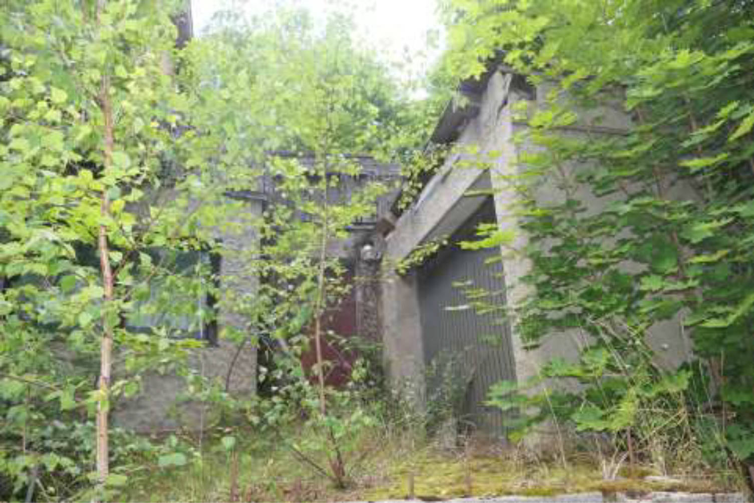 lfd. Nr. 1 in Waldsassener Straße 6, 95659 Arzberg - Bild 5