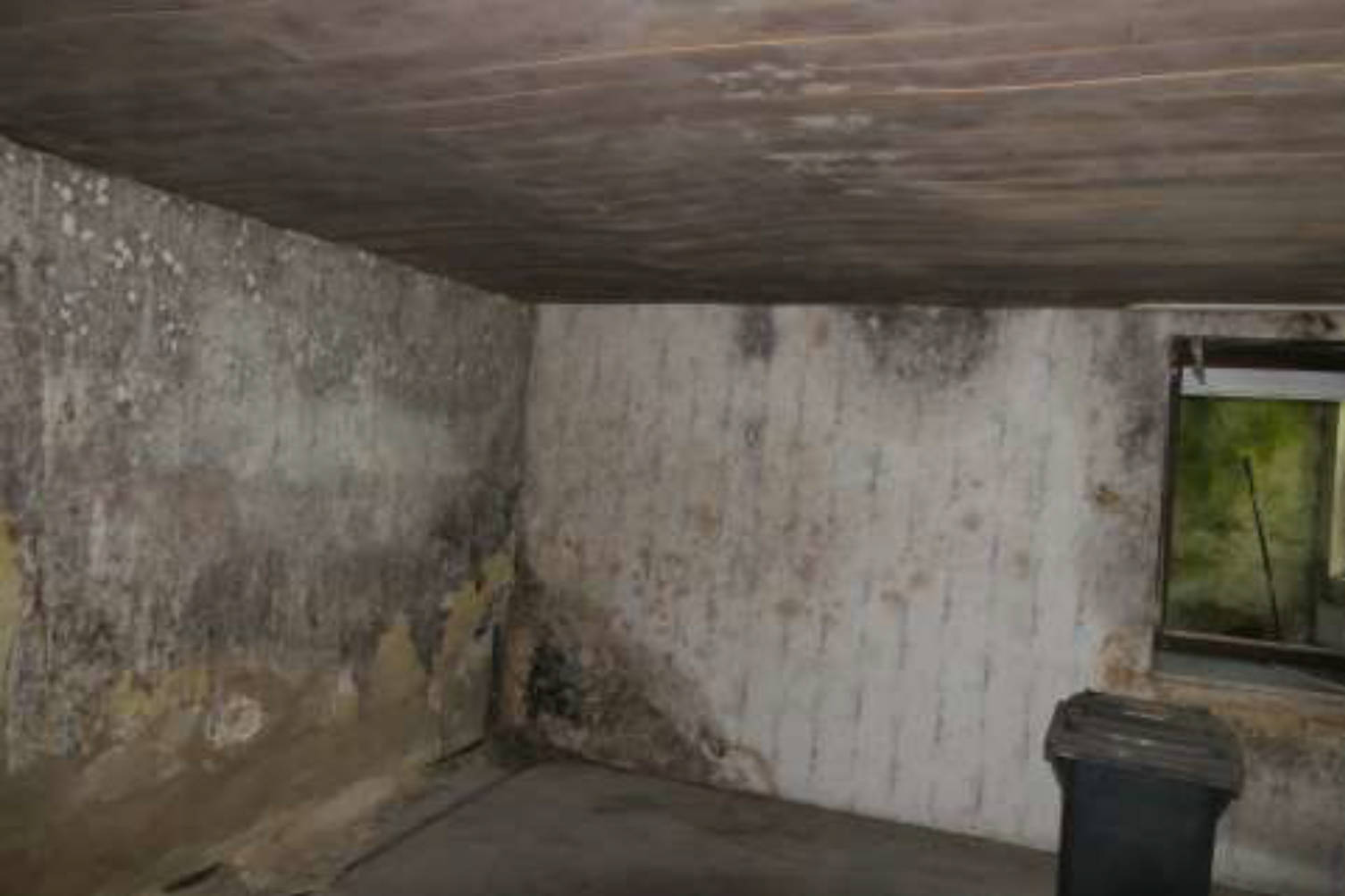 bayern K 0018/2025 Waldsassener Straße 6, 95659 Arzberg 11