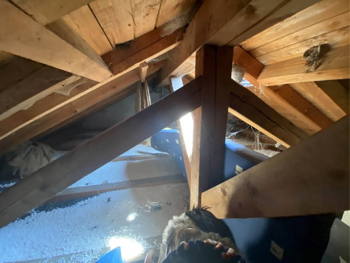 bayern K 0023/2024 Bergmangstraße 23 und 25, 87674 Ruderatshofen, Hiemenhofen 26