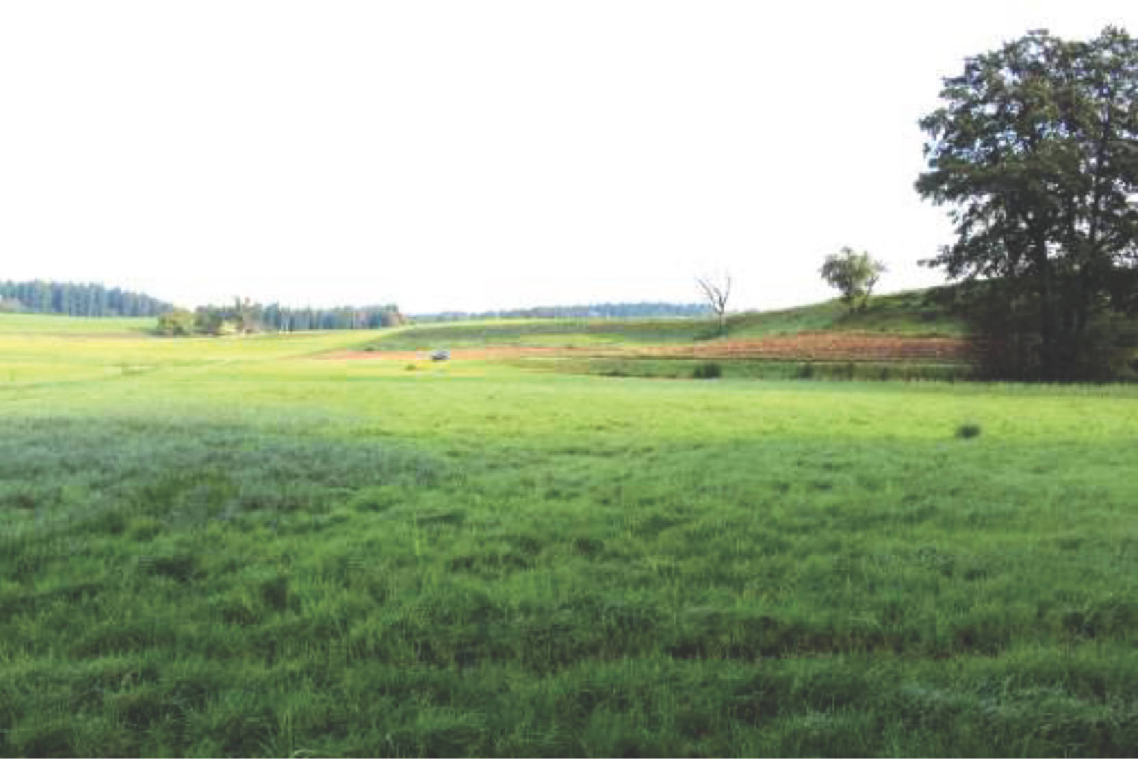 Landwirtschaftsfläche in Kapellenfeld, 83253 Rimsting - Bild 3