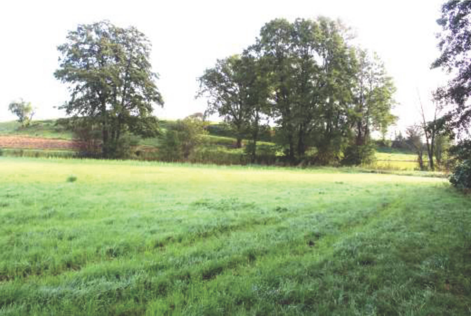 Landwirtschaftsfläche in Kapellenfeld, 83253 Rimsting - Bild 2