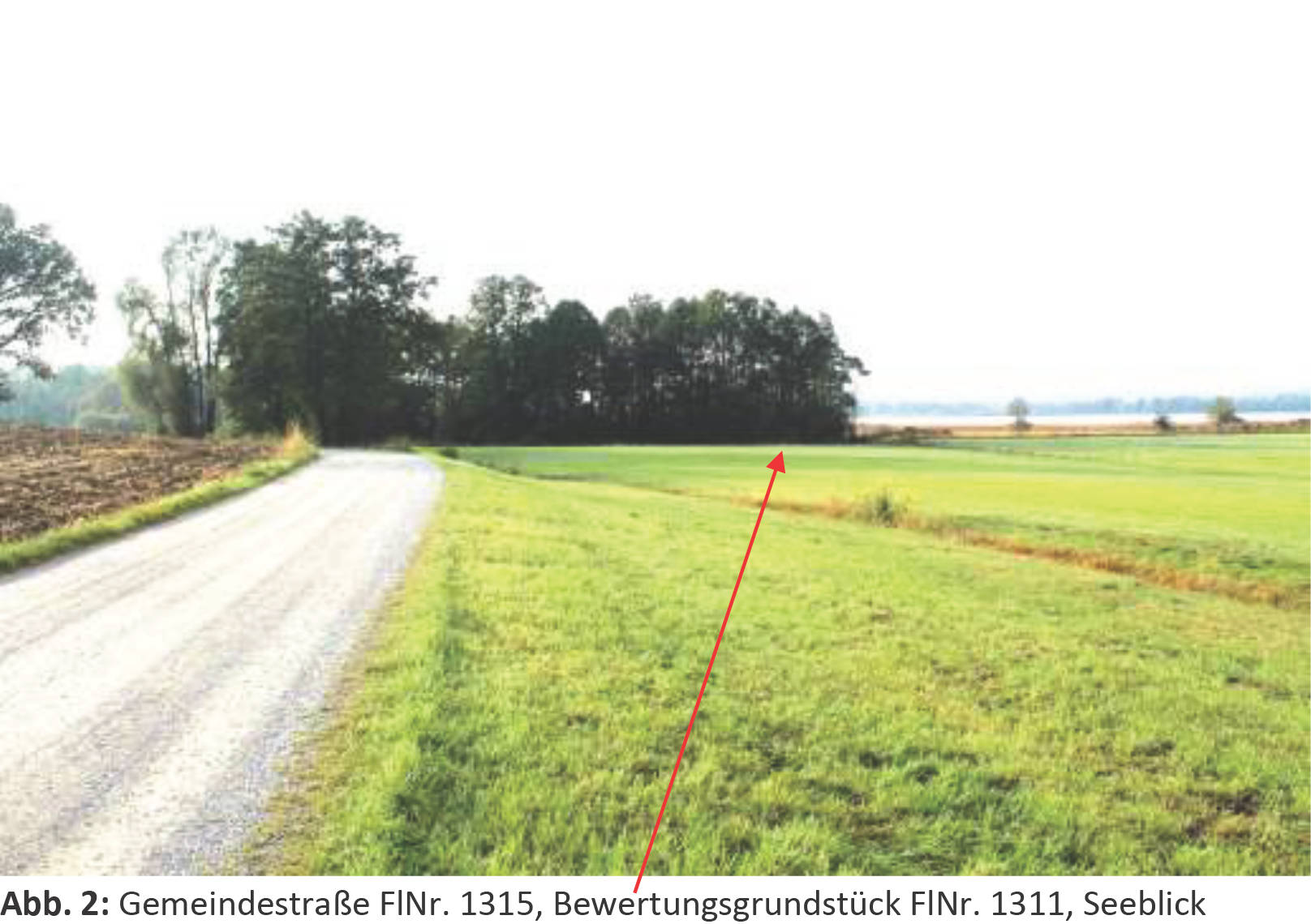 Landwirtschaftsfläche in Kapellenfeld, 83253 Rimsting - Bild 4