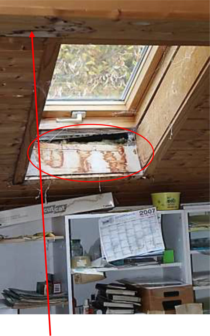 bayern K 0028/2022 Kaltenbrunn 2 a, 83112 Frasdorf 20