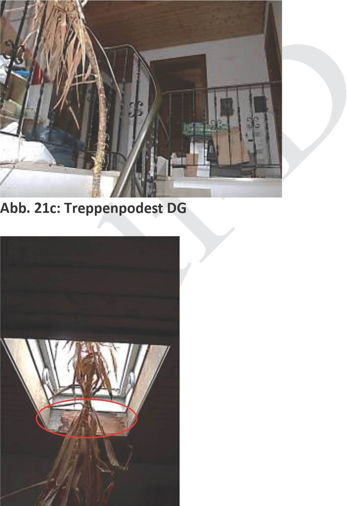 bayern K 0028/2022 Kaltenbrunn 2 a, 83112 Frasdorf 7