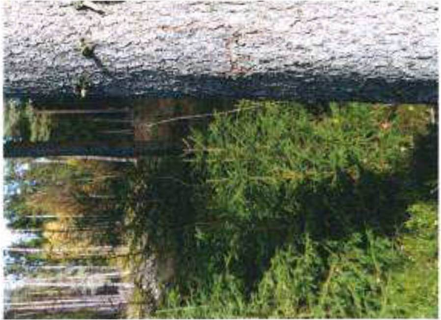 bayern K0029-2023 Klepperbühl, 95100 Selb 8