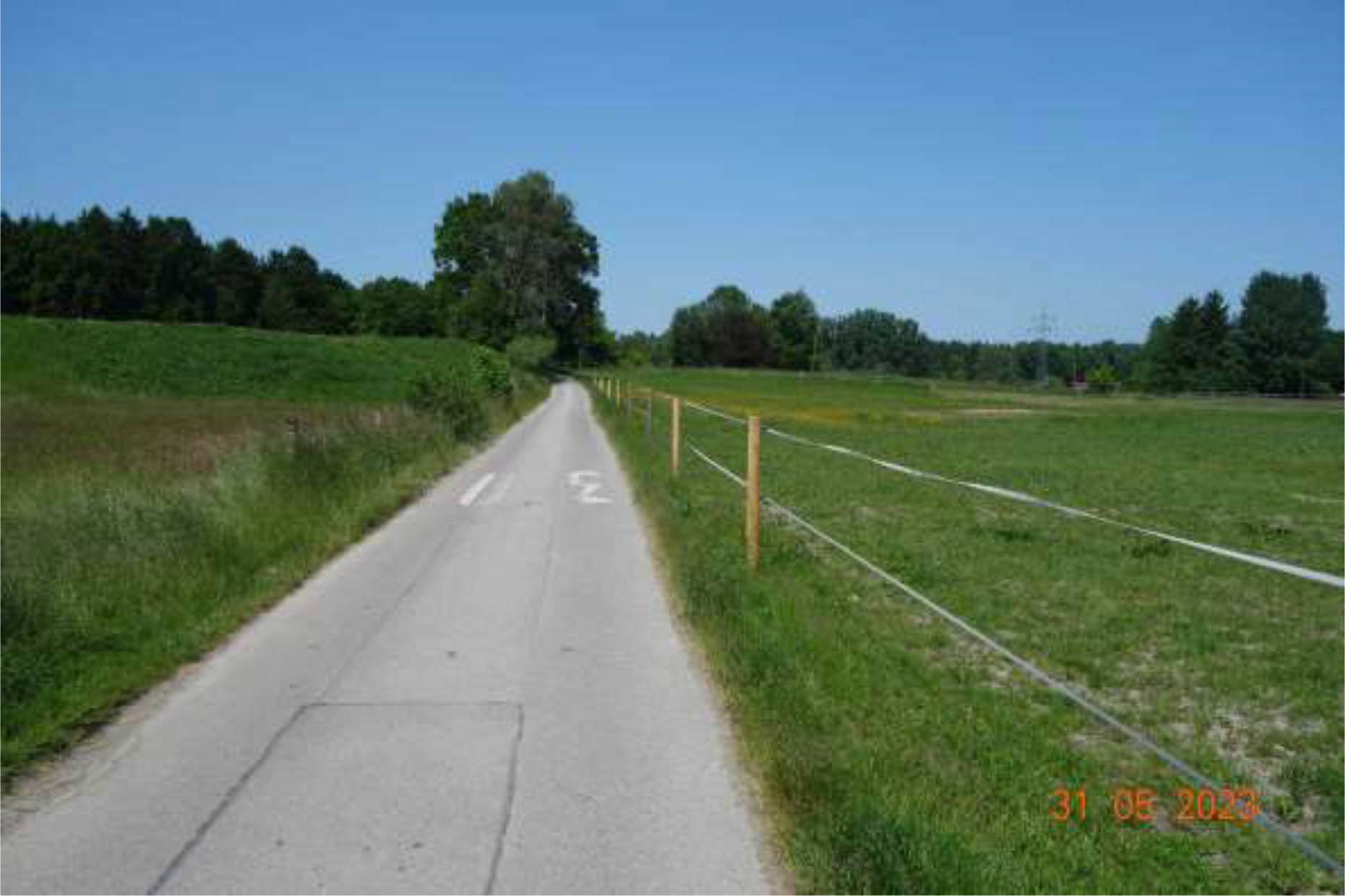 bayern K0031-2022 Nähe Aiblinger Straße, 83059 Kolbermoor, Lohholz