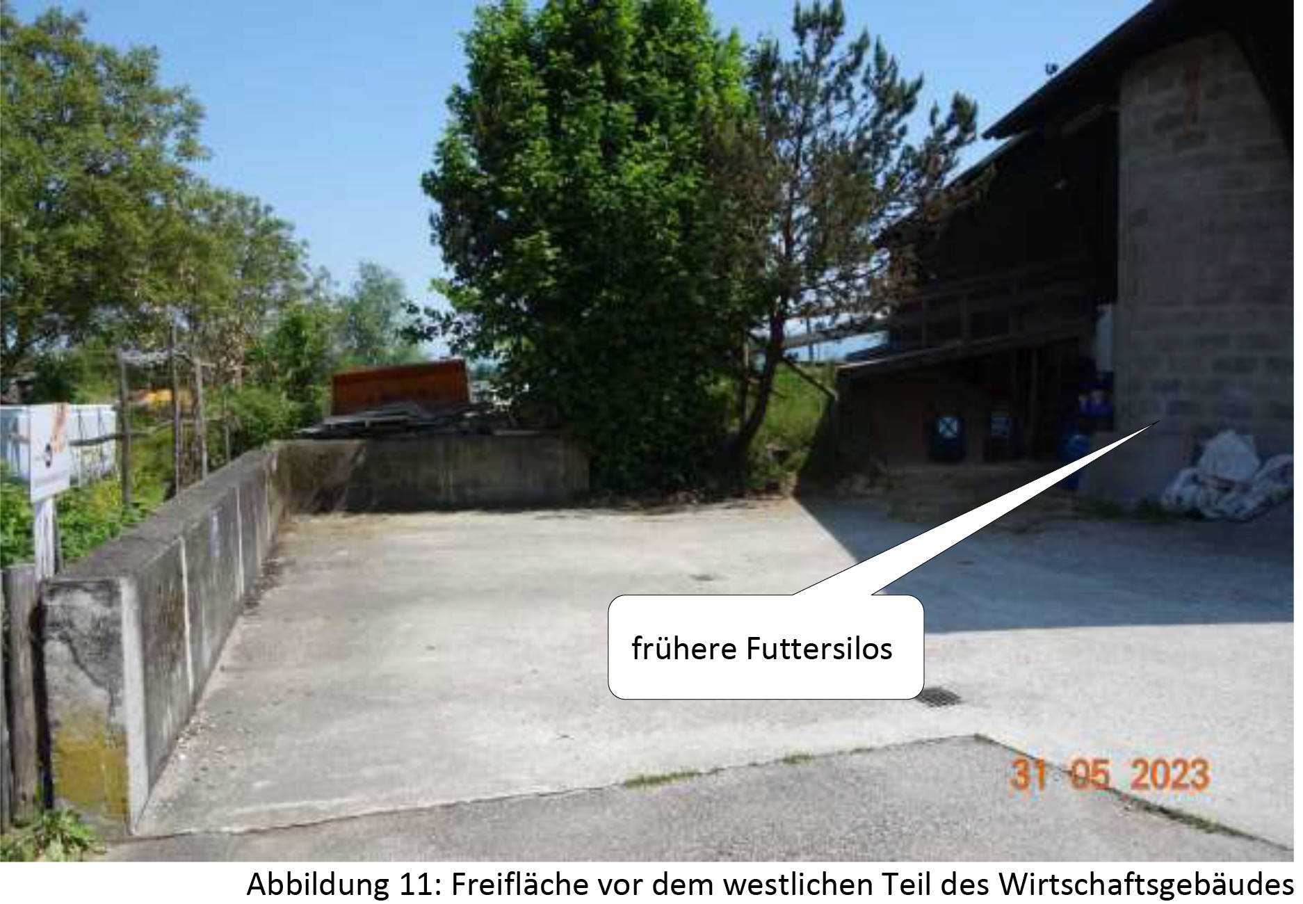 bayern K0031-2022 Nähe Aiblinger Straße, 83059 Kolbermoor, Lohholz
